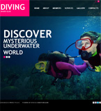 Turnkey website #32542